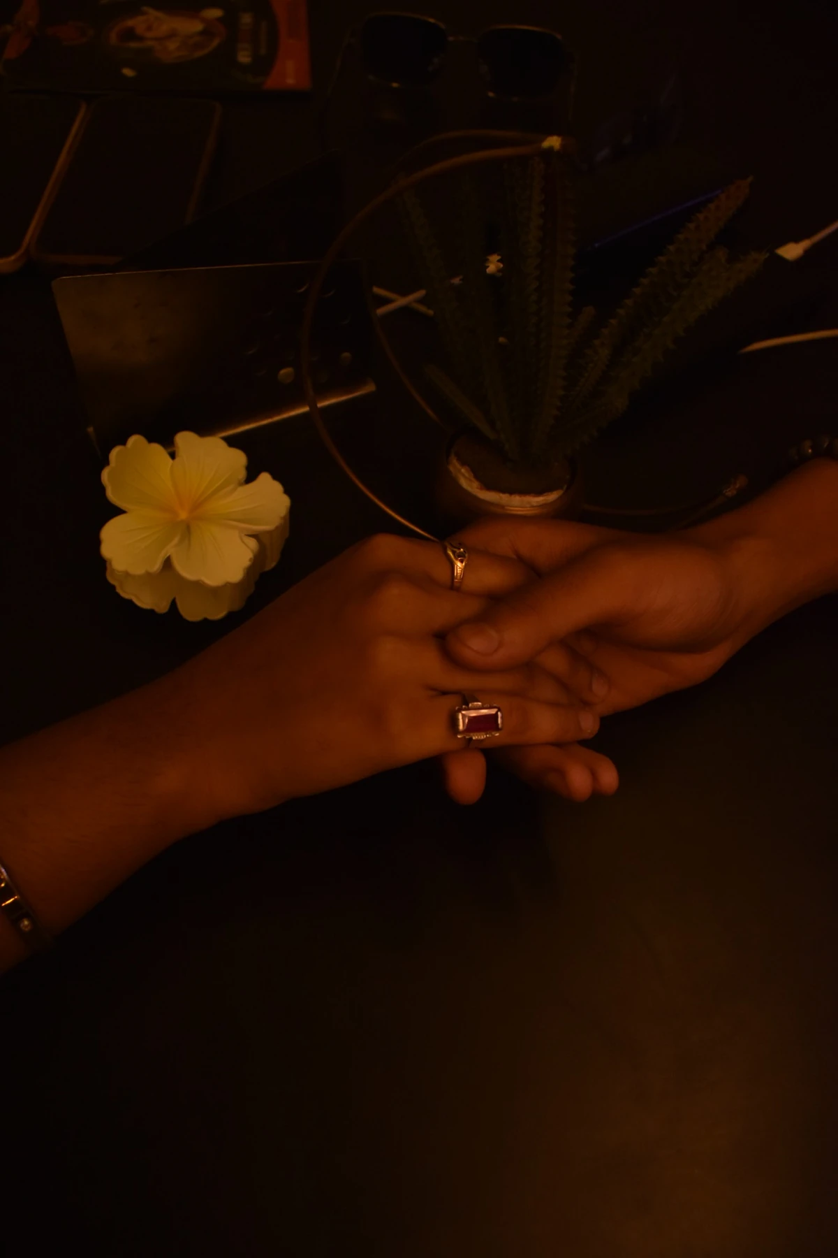 Hands holding detail photo